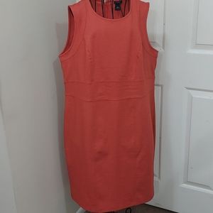 Ann Taylor Dress